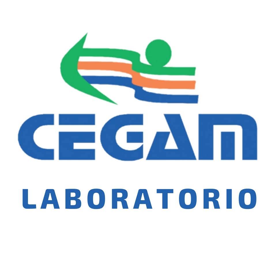 Descripción de la imagen